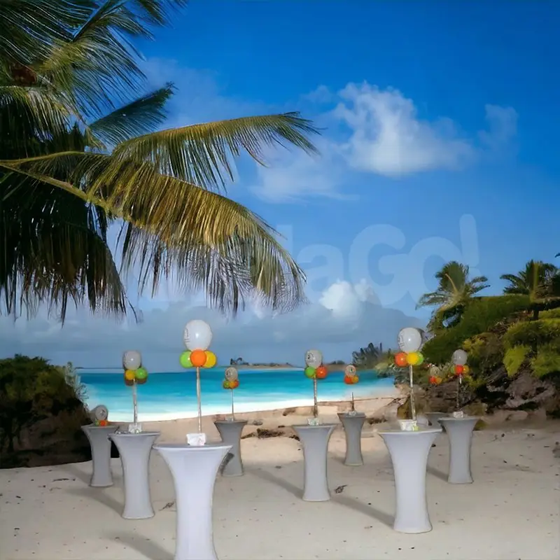 Metal Kokteyl Masası Kiralama 4